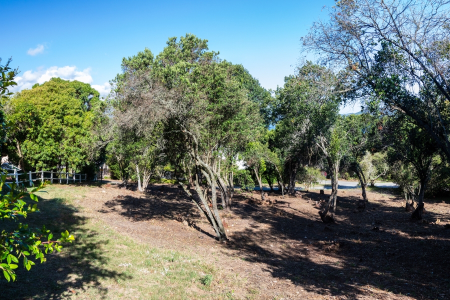 0 Bedroom Property for Sale in Belvidere Estate Western Cape